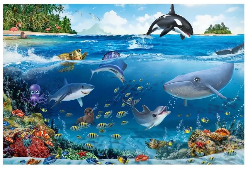 Magnetické obrazy Podmorský svet so zvieratami