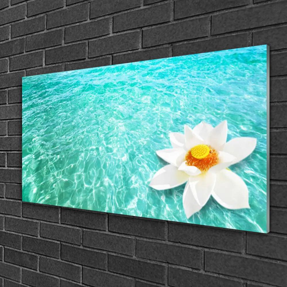 Skleneny obraz Voda kvet umenie 125x50 cm