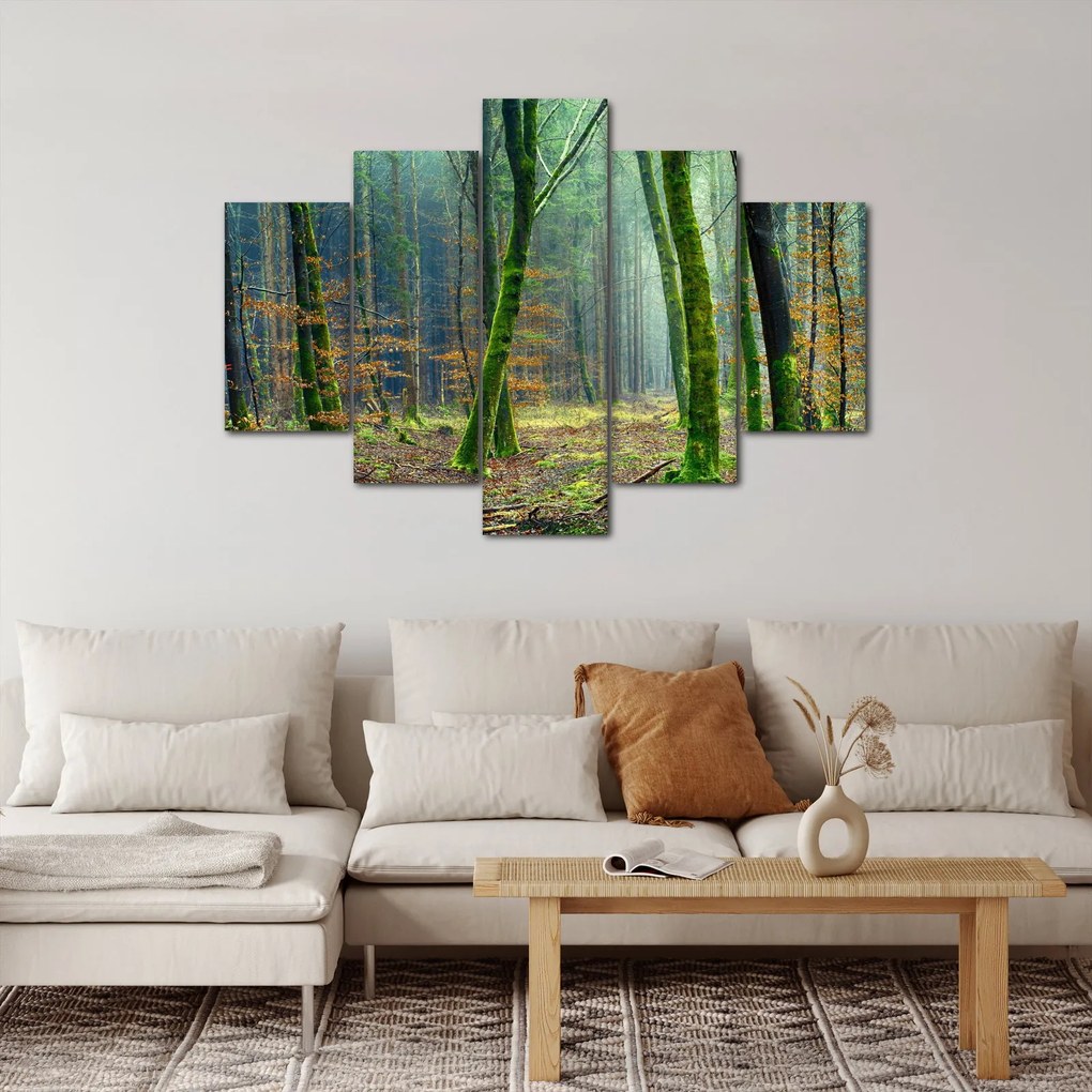 Obraz lesa (150x105 cm)