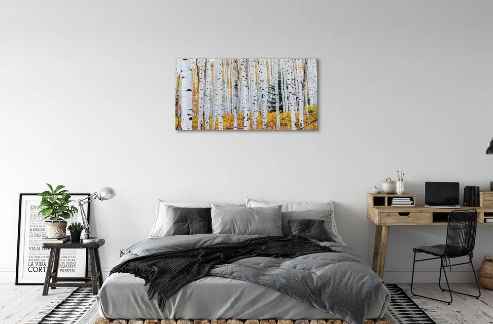 Obraz canvas jesene breza 120x60 cm