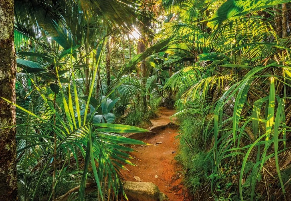 8-989 Komar obrazová Utierateľná fototapeta Komar Jungle Trail, veľkosť 368x254 cm