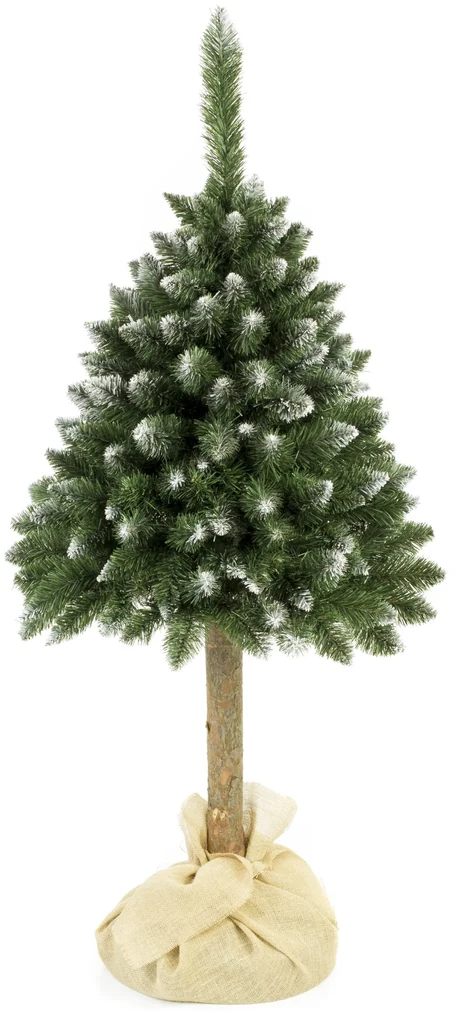 Vianočný stromček Borovica diamantová na pníku 220 cm