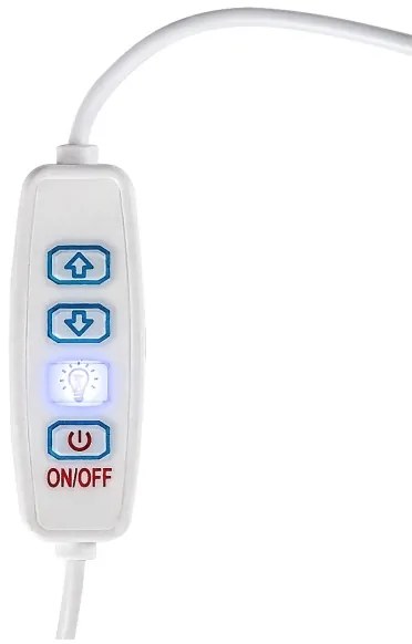 Rabalux 76003 - LED Stmievateľná stolná lampa PIRIT LED/1,2W/5V 3000K buk