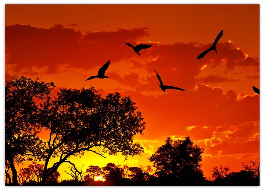 Sklenený obraz vtákov pri západe slnka (70x50 cm)