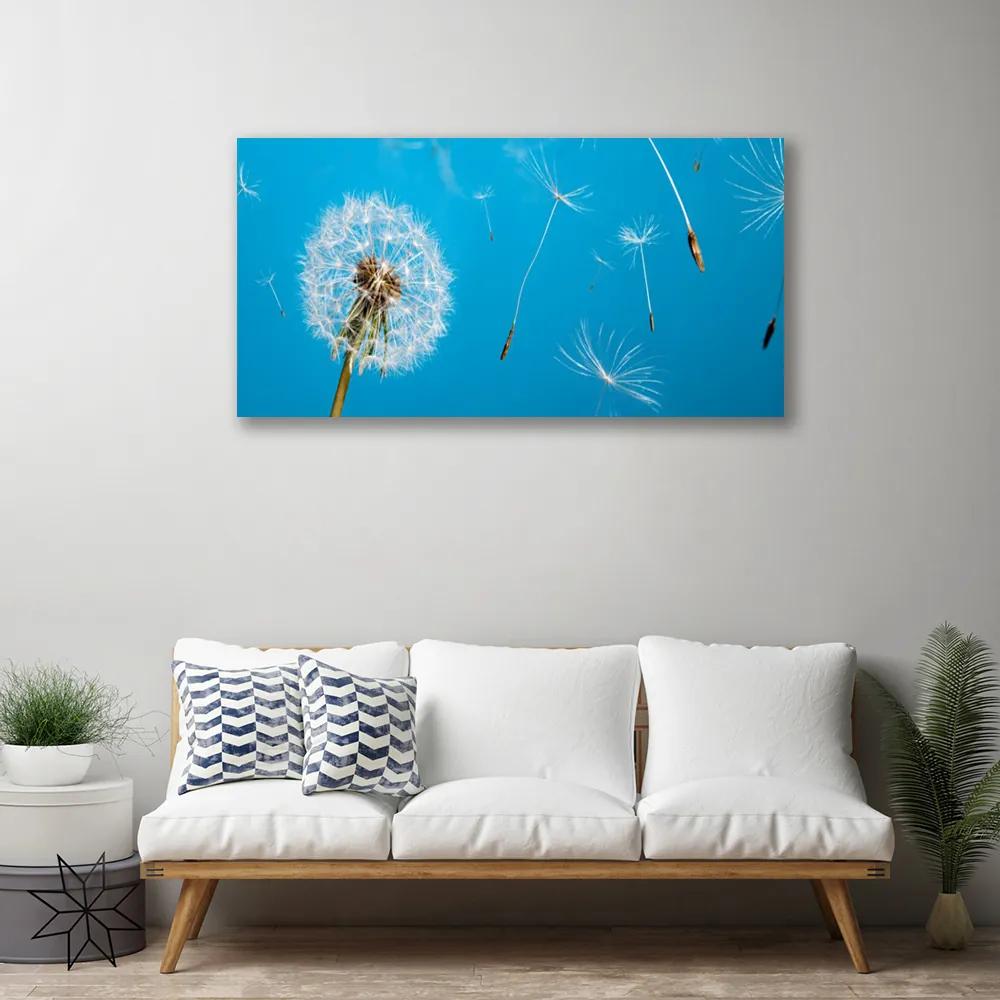 Obraz Canvas Púpavy kvety príroda 120x60 cm