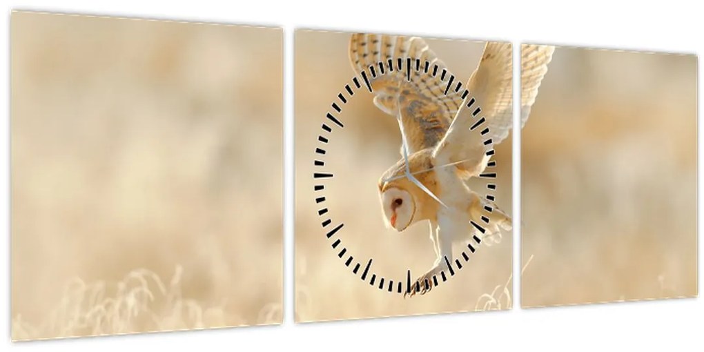 Obraz - Sova (s hodinami) (90x30 cm)