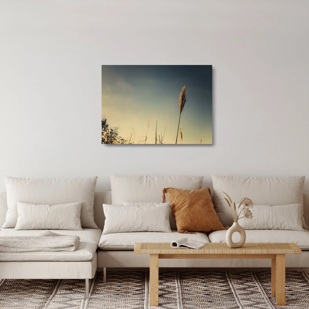 Sklenený obraz s trávou (70x50 cm)