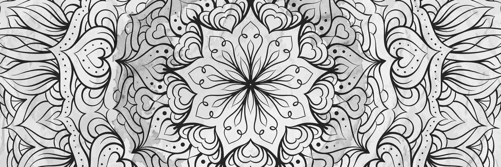 Obraz jemná abstrakcia kvetu v čiernobielom prevedení