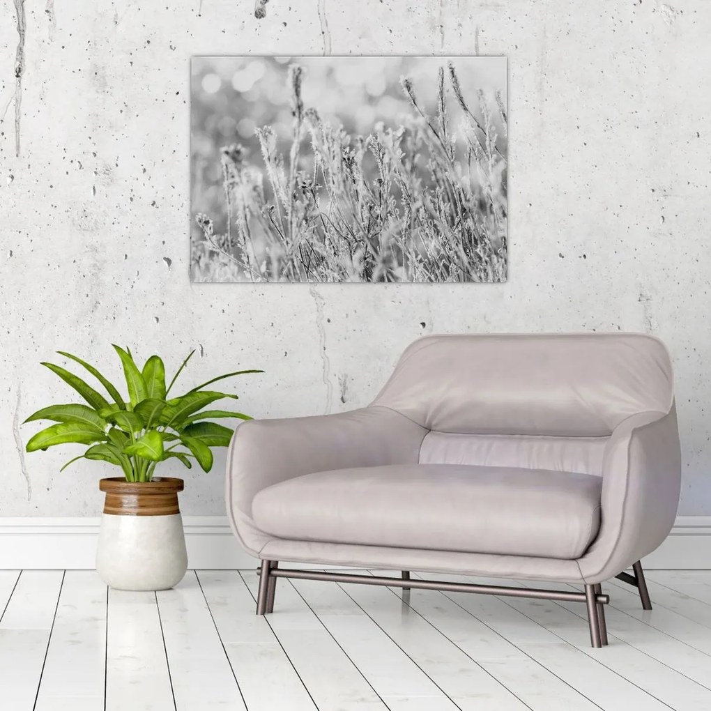 Sklenený obraz - Chladná zima (70x50 cm)