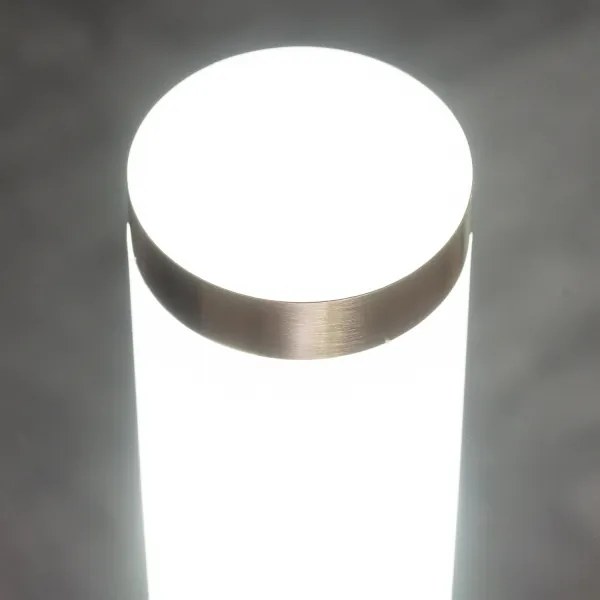 BRILAGI - LED vonkajšie svietidlo ELIA 1xE27/7W/230V 4000K IP44 100 cm chróm