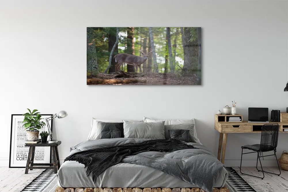 Obraz na akrylátovom skle Jeleň lesný 140x70 cm
