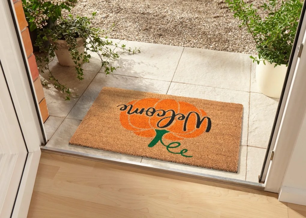 Hanse Home Collection koberce Rohožka Mix Mats 105665 Cocos - 45x75 cm