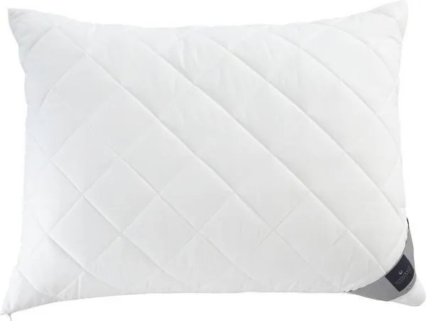 XXXLutz VANKÚŠ POD HLAVU, 40/60 cm Billerbeck - Prikrývky & vankúše - 003279065001