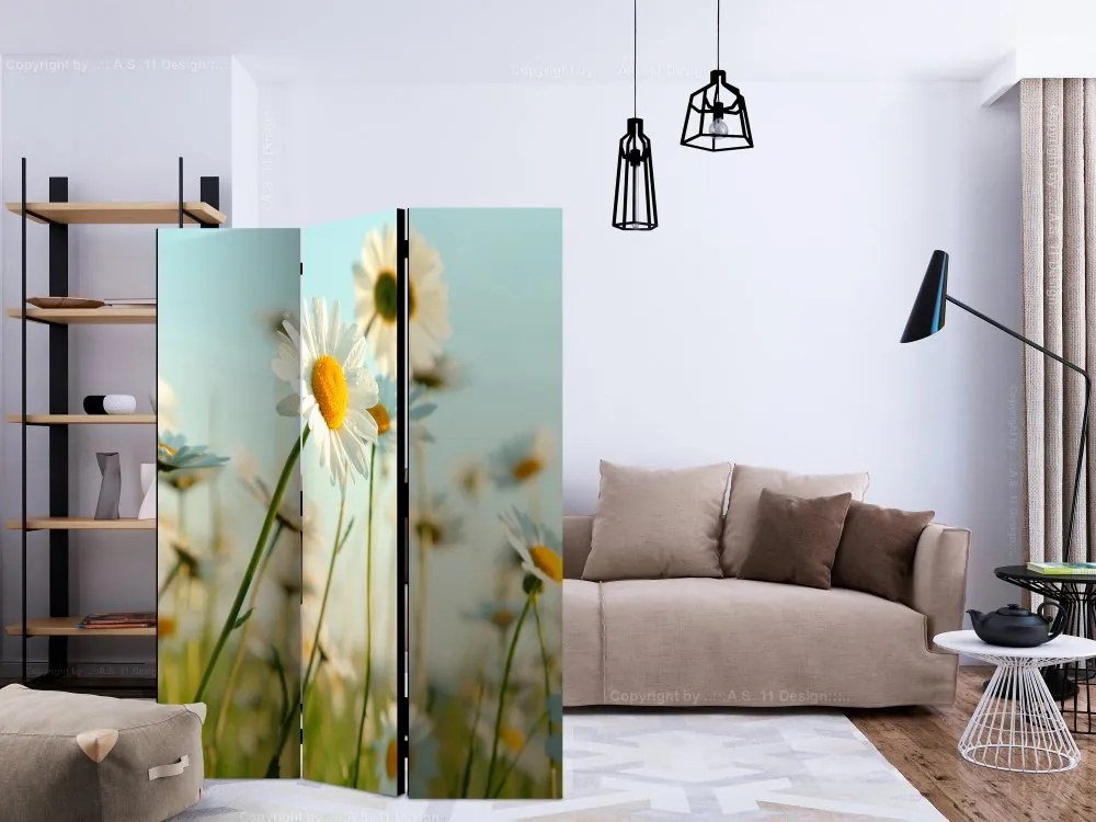 Artgeist Paraván - Daisies - spring meadow [Room Dividers]