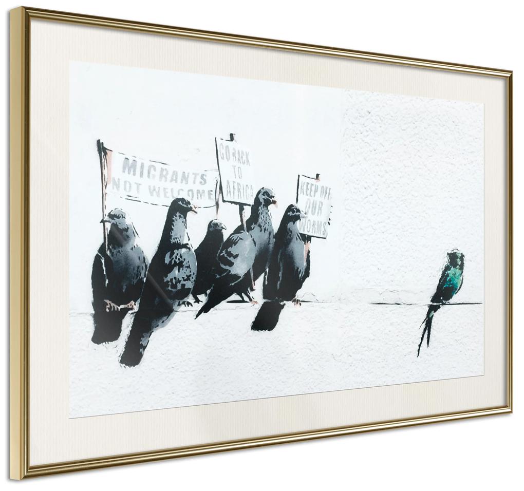 Artgeist Plagát - Xenophobic Pigeons [Poster] Veľkosť: 60x40, Verzia: Čierny rám s passe-partout