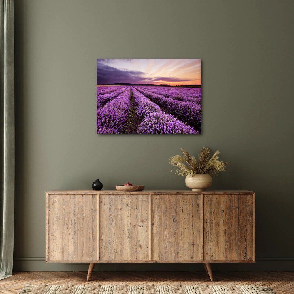 Obraz - Levanduľové pole pri západe slnka (70x50 cm)
