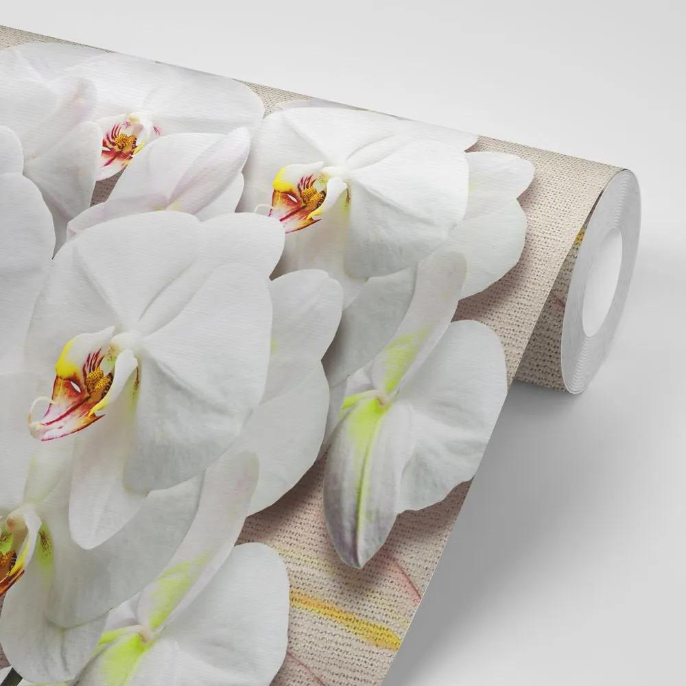 Tapeta biela orchidea na plátne - 450x300