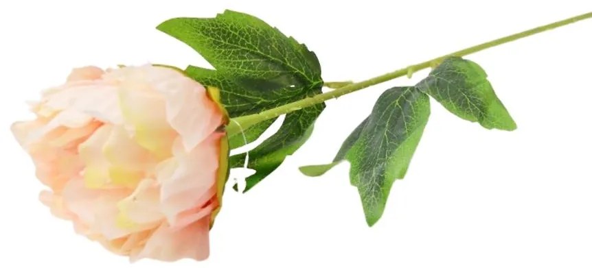 Peonia 52cm svetloružová A2010438