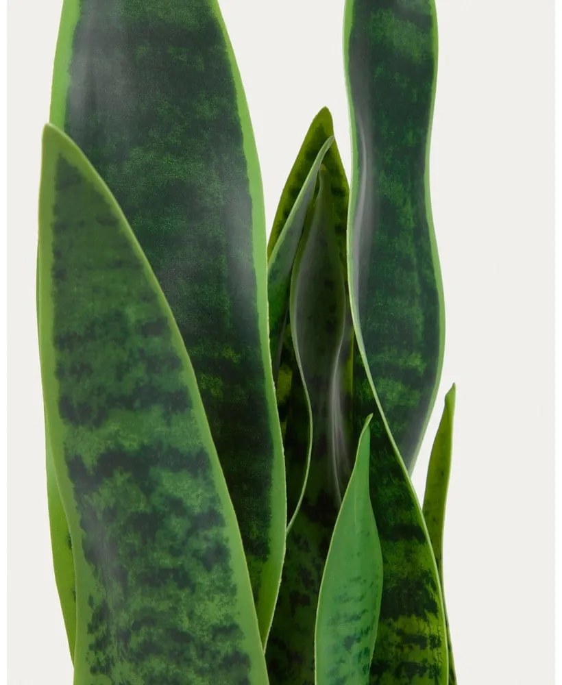 Umelá rastlina (výška 55 cm) Sansevieria – Kave Home