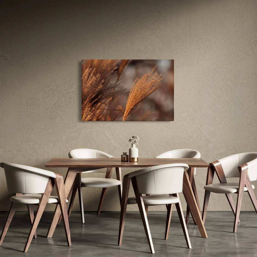 Obraz - Kortadéria (90x60 cm)
