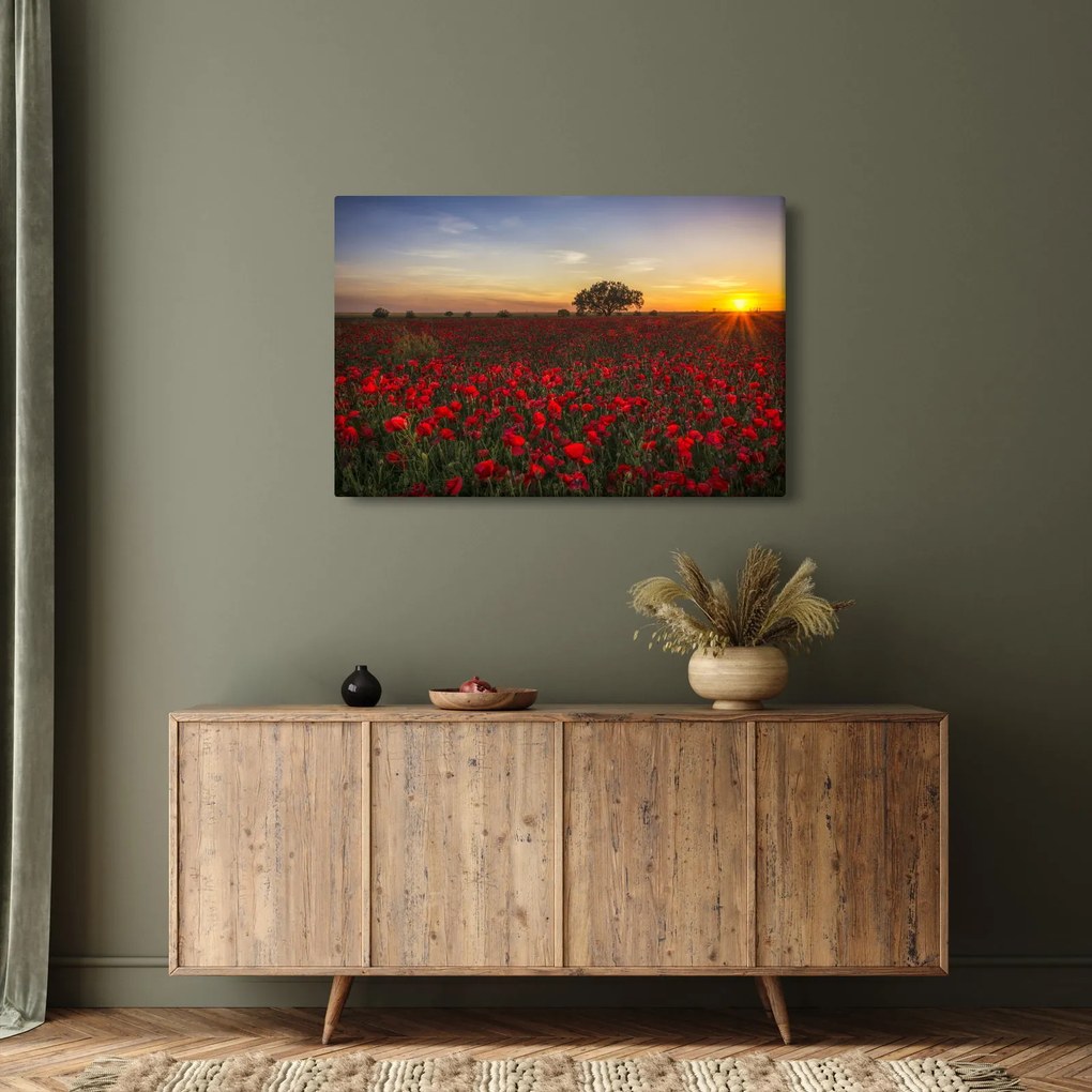 Obraz lúky s vlčími makmi (90x60 cm)