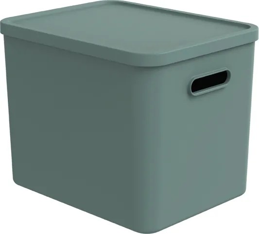 Rotho Úložný box, rovný s víkom, 27l, matná zelená ALBU LIGHT, 37x29x30