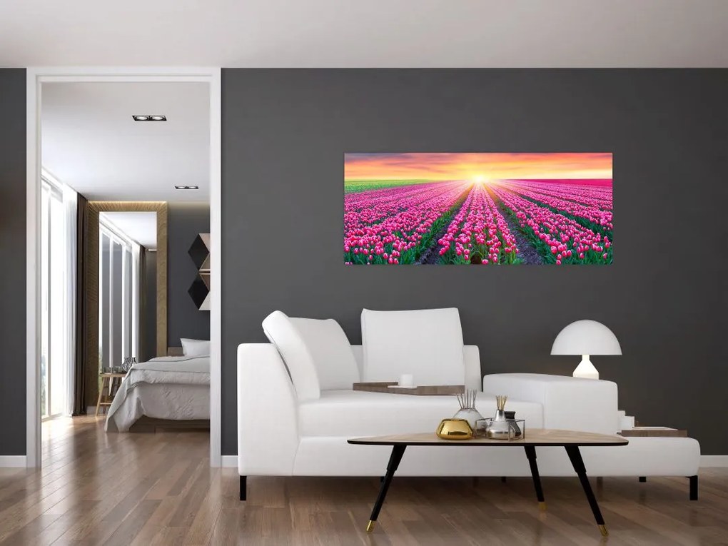 Obraz poľa tulipánov so slnkom (120x50 cm)