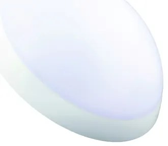 Fulgur 20994 - Technické stropné svietidlo ROMANA 1xE27/100W/230V IP64