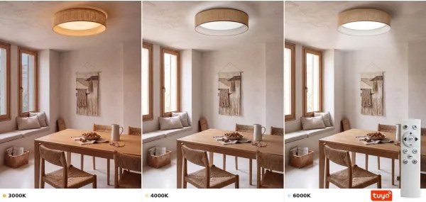 BRILAGI - LED stmievateľné stropné svietidlo veľké SMD 36W/230V 3000-6000K pr. 55 cm béžová WT + diaľkové ovládanie