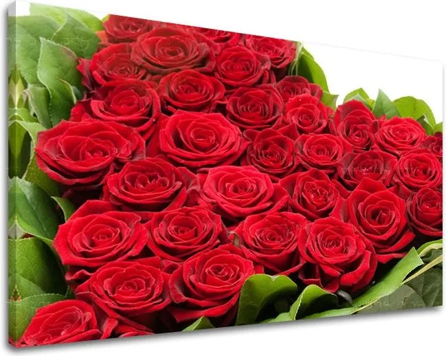 Obraz na stenu KVETY KV042E11 - 40x60 cm