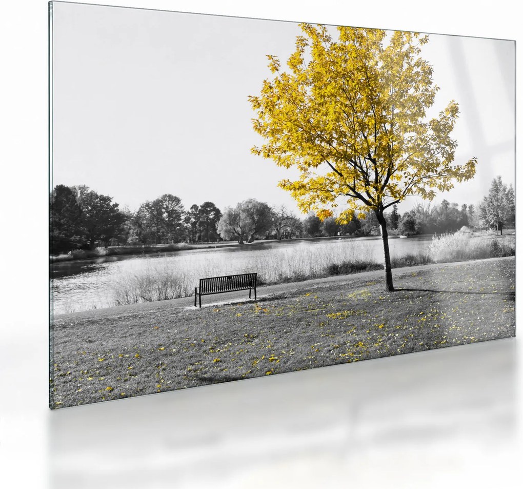 Sklenený obraz - Odpočinok v parku (70x50 cm)
