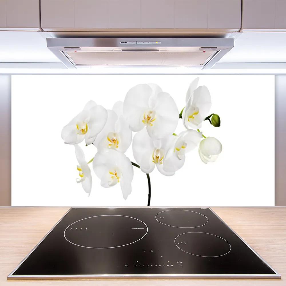 Sklenený obklad Do kuchyne Biela orchidea kvety 120x60 cm