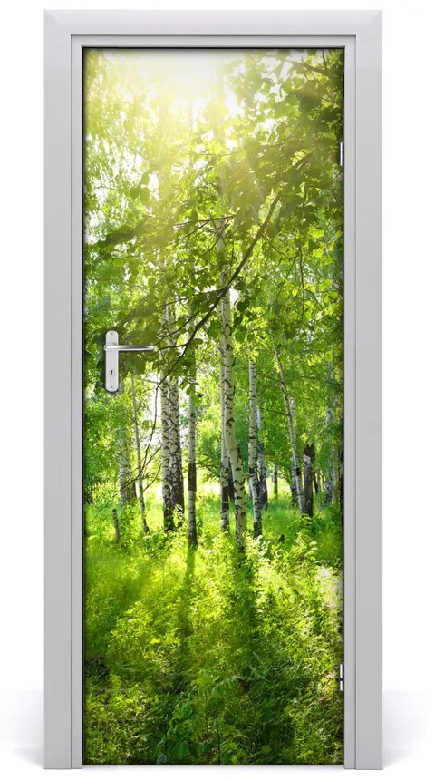 Fototapeta na dvere Břízová les 75x205 cm