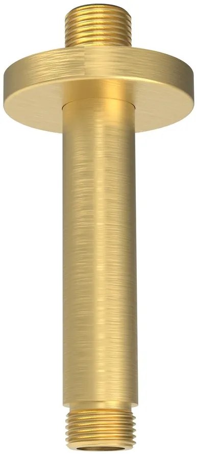 Sapho Sapho, Stropní sprchové ramienko, guľaté, 200mm, zlato mat, 1205-05GB