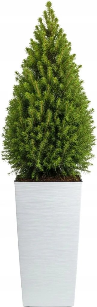 Sada 2 ks květináčů Porto Riflo 75x39,6/67,7x35 cm bílá