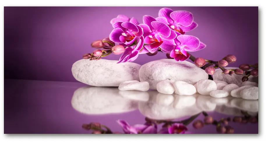 Moderný obraz fotografie na akrylu Ružová orchidea pl-oa-140x70-f-82457632