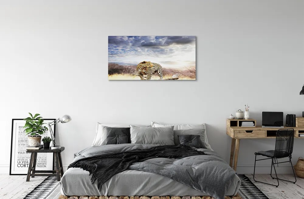 Obraz canvas panter mraky 140x70 cm