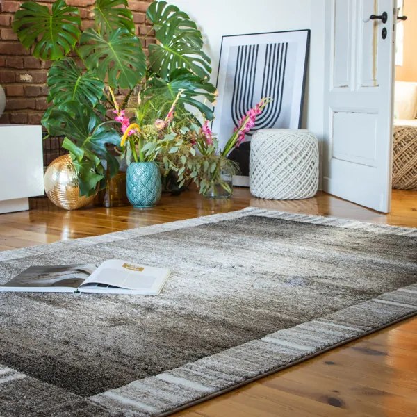 Obsession, AKCIA: 80x150 cm Kusový koberec My Canyon 970 Taupe, hnedá, obývacia izba