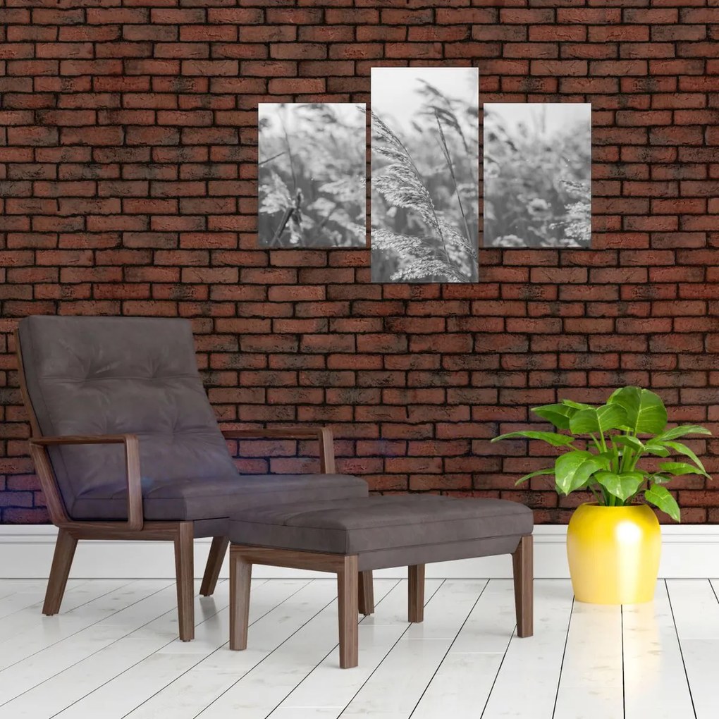 Obraz - Tráva vo vetre (90x60 cm)