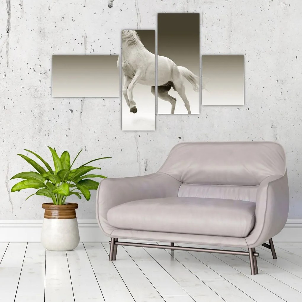 Obrazy bieleho koňa