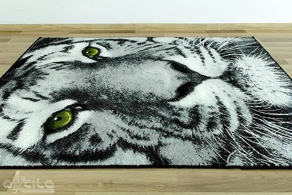 Koberec Rainbow 11179/190 tiger