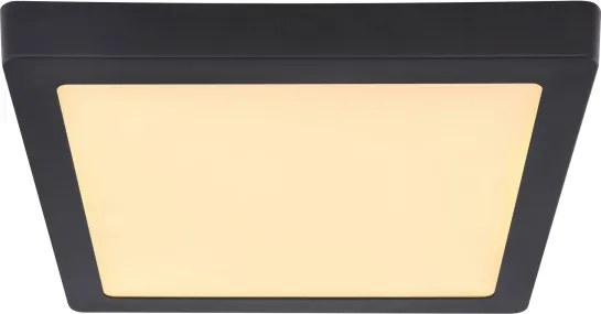 Globo 12374-24 - LED Stropné svietidlo DINO LED/22W/230V