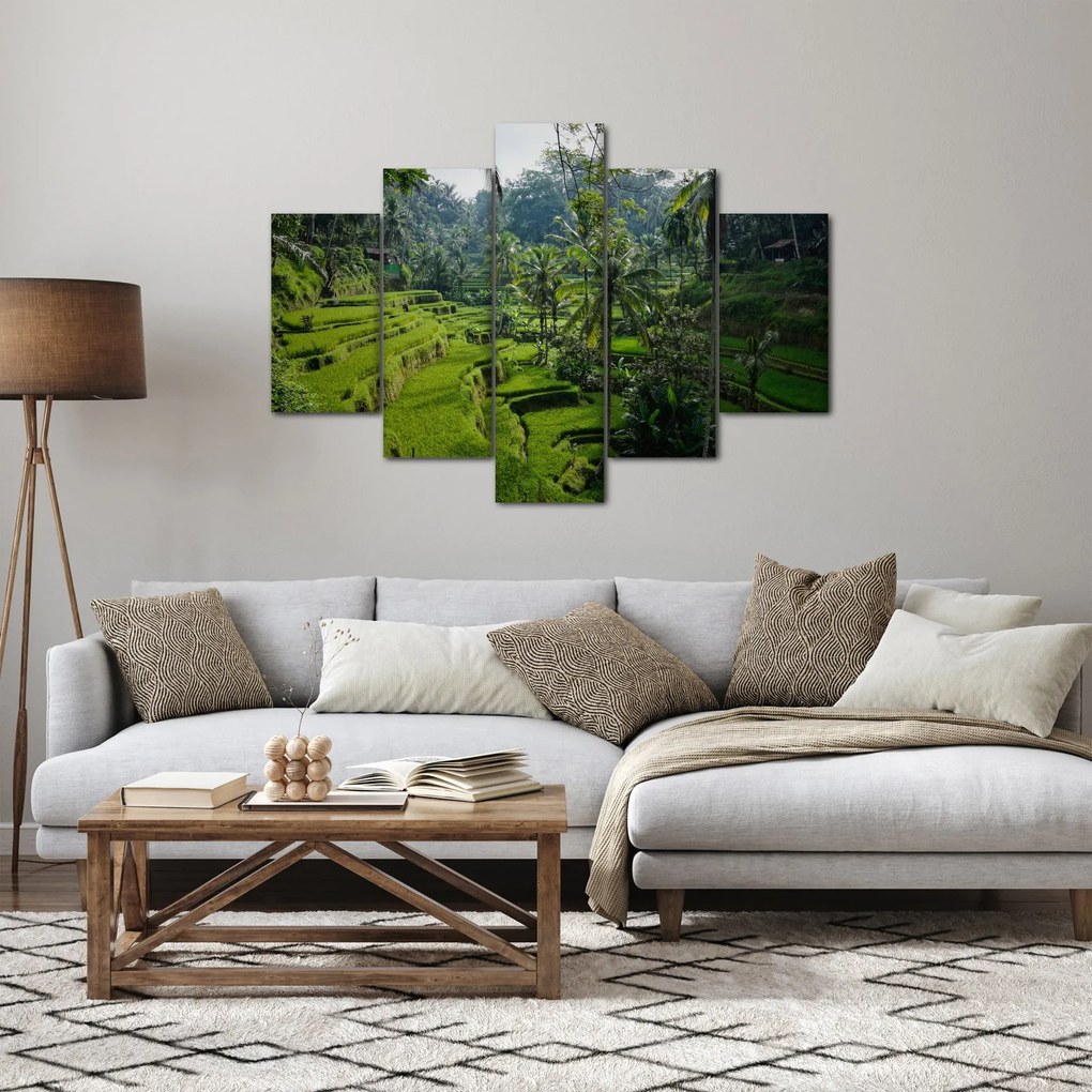 Obraz ryžových terás Tegalalang, Bali (150x105 cm)