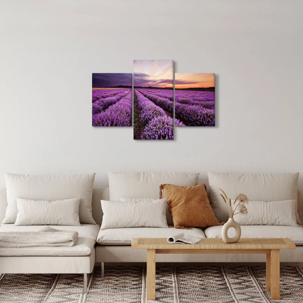 Obraz - Levanduľové pole pri západe slnka (90x60 cm)