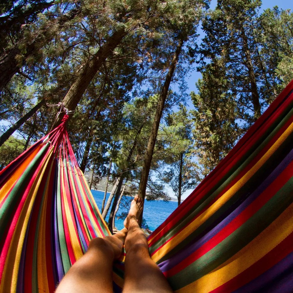 Bluegarden Bluegarden, závesná hojdacia sieť s drevenou oporou pre 2 osoby 150x210 cm Hammock 400257A, červená, OGR-09015