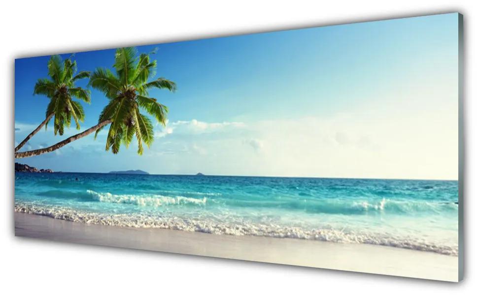 Obraz plexi More pláž palma krajina 125x50 cm