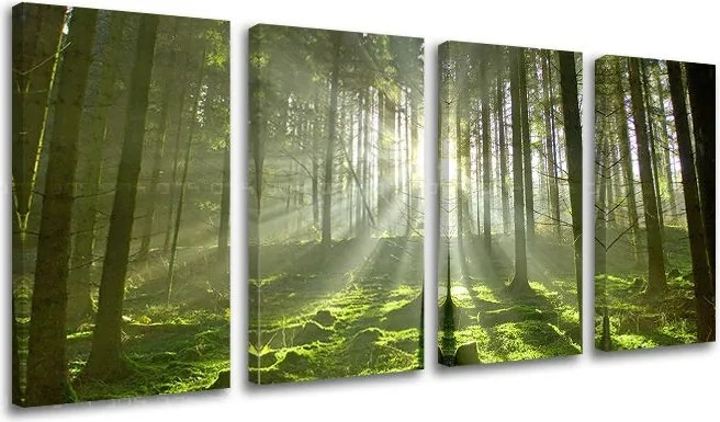 Obraz na stenu STROMY