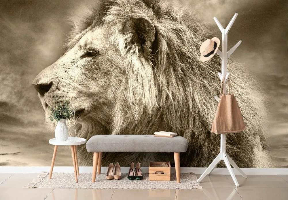 Samolepiaca tapeta africký lev v sépiovom prevedení - 150x100