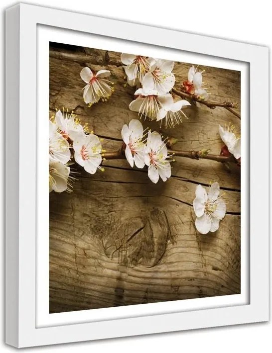 CARO Obraz v ráme - Peach Flowers Biela 20x20 cm