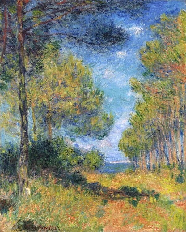 Obrazová reprodukcia Allée de sapins à Varengeville, Claude Monet